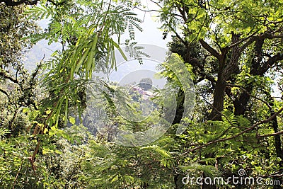 Lovely nature. Stock Photo