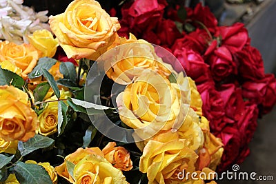Bunch of yellow and red roses Stock Photo