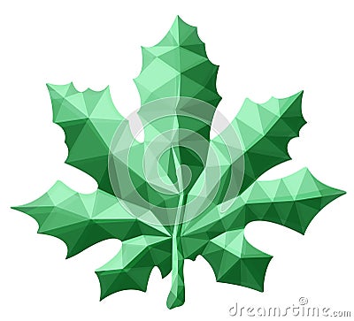 Beautiful low poly art with green maple leaf Vector Illustration