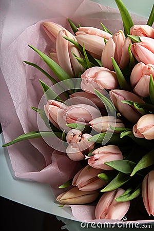 Beautiful lush bouquet of fresh tulips in the hand of the girl against Stock Photo