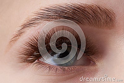 Beautiful macro photography of a woman`s eye with extreme make-up of long eyelashes. Perfect long eyelashes. without cosmetics. Stock Photo