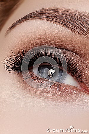 Beautiful macro shot of female eye with smoky makeup. Perfect shape of eyebrows Stock Photo