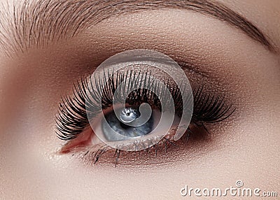 Beautiful macro shot of female eye with smoky makeup. Perfect shape of eyebrows Stock Photo