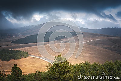Beautiful magnificent landscape of mountains and pine forest in fog on cloudy day Stock Photo