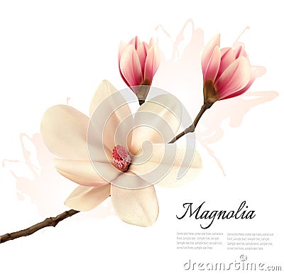 Beautiful magnolia flower background. Vector Illustration