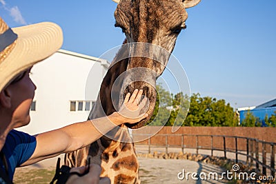 beautiful man strokes a giraffe in the biopark. Close communication with wild African animals. A tourist happy, enjoys Stock Photo