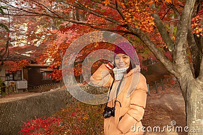 The beautiful Maples Corridor at Kawaguchiko Stock Photo