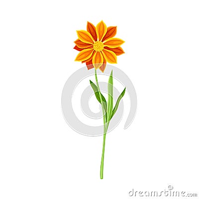 Beautiful marigold orange flower. Elegant floral design element vector illustration Vector Illustration