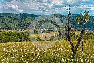 Beautiful meadow, agricultural field and Drina river in Western Serbia Stock Photo