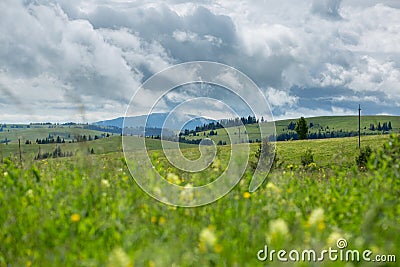 Beautiful meadow field with wildflowers against the background of mountains with clouds Stock Photo