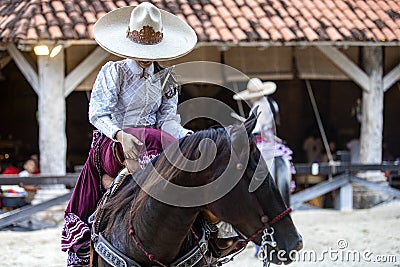 Beautiful Mexican equestrian show with a traditional hat on an Aztec horse of great lineage changing from gallop. Editorial Stock Photo