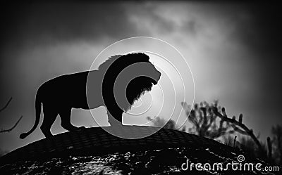 Beautiful Mighty Lion. Black and white, dramatic photo Stock Photo