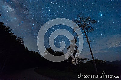 Beautiful milky way galaxy on night sky in the forest park Stock Photo