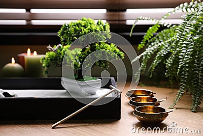 Beautiful miniature zen garden, candles and oil lamps near window indoors Stock Photo