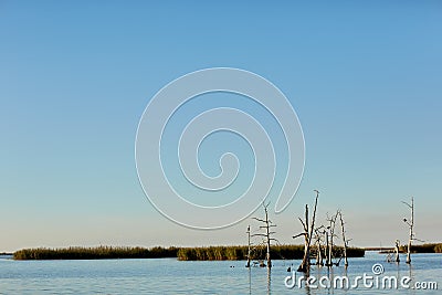 Beautiful Mississippi delta floodplain and sky Stock Photo