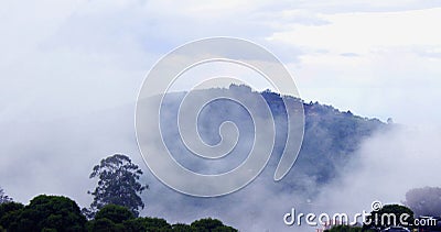 Beautiful mist in the kodaikanal tour place. Stock Photo