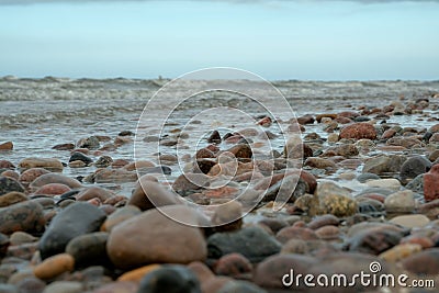 Beautiful mixture of black stones and seashells on sand. View from above Stock Photo