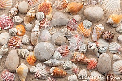 Beautiful mixture of white stones and seashells on sand. Stock Photo