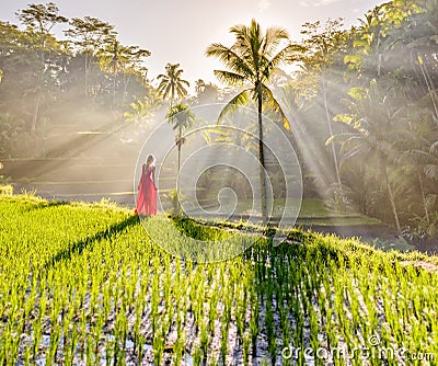 Beautiful model in red dress at Tegalalang Rice Terrace 5 Stock Photo