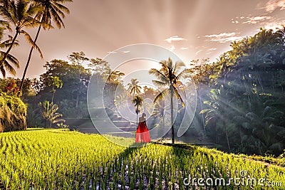 Beautiful model in red dress at Tegalalang Rice Terrace 11 Stock Photo