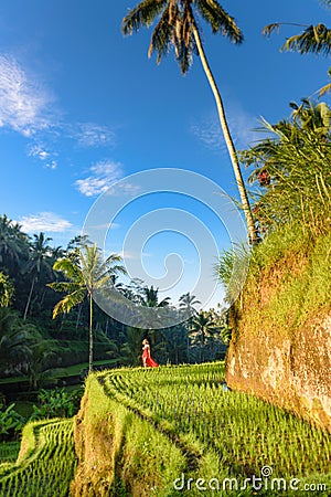Beautiful model in red dress at Tegalalang Rice Terrace 19 Stock Photo