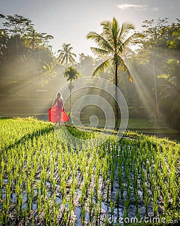 Beautiful model in red dress at Tegalalang Rice Terrace 2 Stock Photo