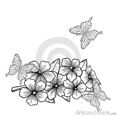 Beautiful monochrome black and white background with a border of flowering tree branches and butterflies Vector Illustration