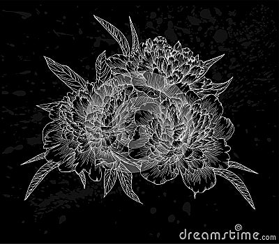 Beautiful monochrome black and white bouquet peony isolated on background. Vector Illustration