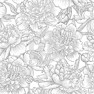 Beautiful monochrome black and white seamless background. peonies with leaves and bud. Vector Illustration