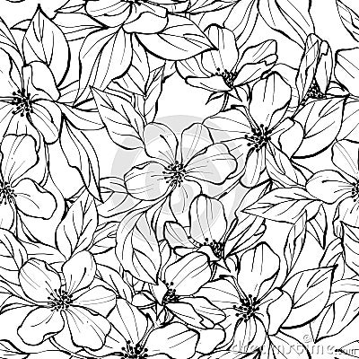 Beautiful monochrome seamless pattern with flowers. Black and white background Stock Photo