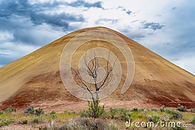 Colorful red and orange hill with a dead tree and ominous, stormy skies. Stock Photo