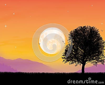 Beautiful moonlight Stock Photo