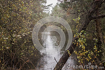 Beautiful moor landscape Stock Photo