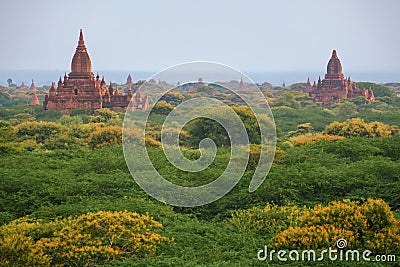 Beautiful morning ancient temples and pagoda in the Archaeological Zone, landmark and popular for tourist attractions and Stock Photo