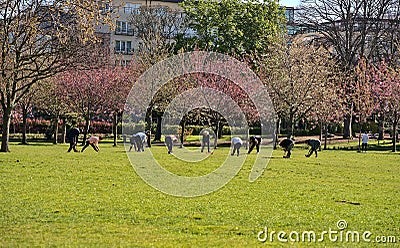 Beautiful morning distant view of big group of adult people attending yoga class, practicing social distancing and exercising yoga Editorial Stock Photo