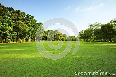 Beautiful morning light in public park with green grass field an Stock Photo