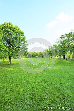 Beautiful morning light in public park with green grass field an Stock Photo