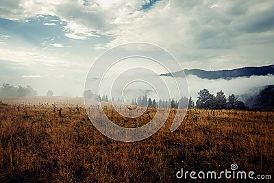 Beautiful morning mountains in fog. Summer mountains. Stock Photo