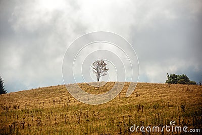 Beautiful morning mountains in fog. Summer mountains Stock Photo