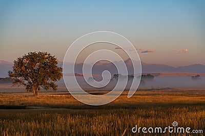 Beautiful Morning on the Plains of Colorado Stock Photo
