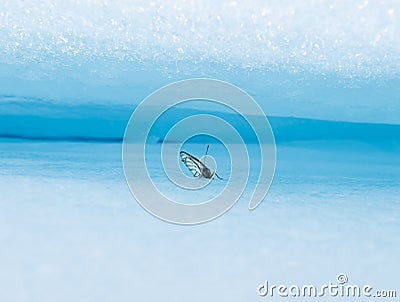 A beautiful mountain lake against the background of the Kodar mountains. Trans-Baikal Territory, Kodar National Park Editorial Stock Photo