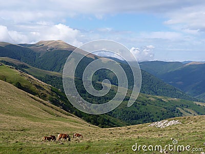 Beautiful mountain landscape. Horses grazing on the background of mountain peaks Stock Photo