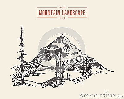Mountain landscape lake spruces vector drawn Vector Illustration