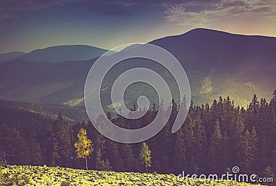 Beautiful mountain landscape at sunshine. Stock Photo