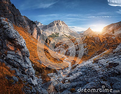 Beautiful mountain path, rocks and stones, orange trees at sunset Stock Photo
