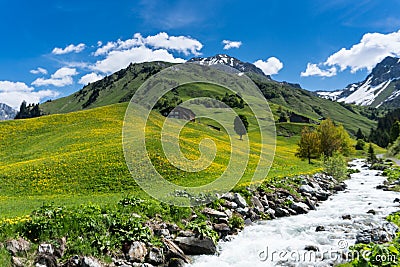 Beautiful mountain valley near Klosters on a summer day with a small creek running through it Stock Photo