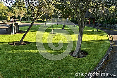 Beautiful mulch tree circles on the lawn in park in autumn Stock Photo