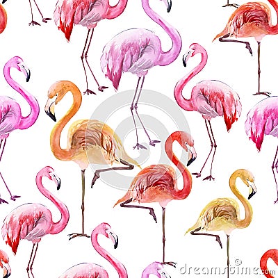 Beautiful multicolored flamingo on white background. Exotic seamless pattern. Watercolor painting. Cartoon Illustration