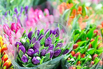 Beautiful multicolored flower bouquets. Various fresh tulips at flower shop. Wholesale or retail flower store. Plant warehouse. Fl Stock Photo