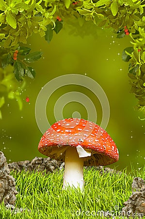 Beautiful mushroom in fantastic wood Stock Photo